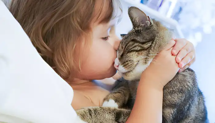 Benefits of Using Cat Translator Apps Benefits of Using Cat Translator Apps