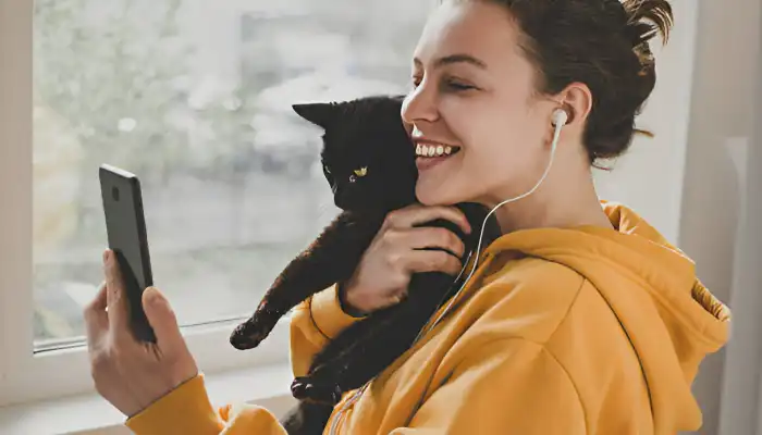 Do Human to Cat Translators Work Do Human to Cat Translators Work