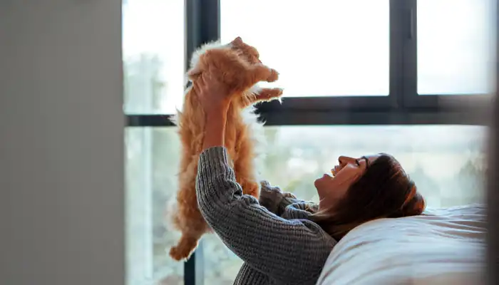 How Do Cats Say I Love You