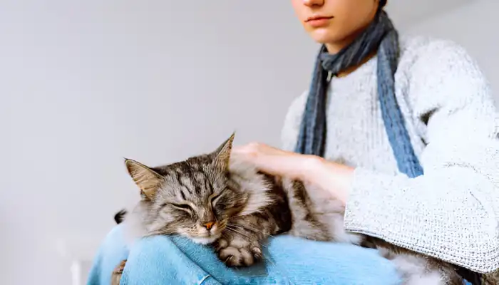How Do I Say Good Bye in Cat Translator How Do I Say Good Bye in Cat Translator