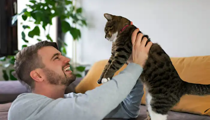 Interpreting Cat Speech in Simple Terms Interpreting Cat Speech in Simple Terms